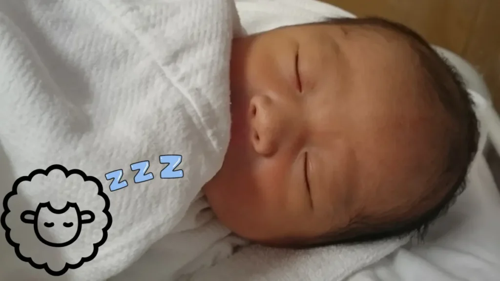 自閉症スペクトラムの子どもが生まれたばかりで羊が寄り添っている